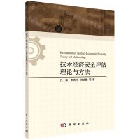 [N]技术经济安全评估理论与方法-9787030714398