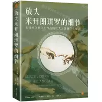 [N]放大米开朗琪罗的细节(精)-9787540156329