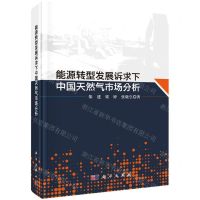 [N]能源转型发展诉求下中国天然气市场分析(精)-9787030704108