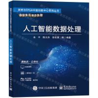 [N]人工智能数据处理/英特尔FPGA中国创新中心系列丛书-9787121432934