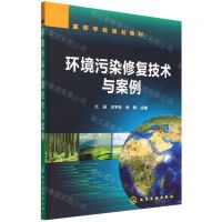 [N]环境污染修复技术与案例(高等学校规划教材)-9787122408419