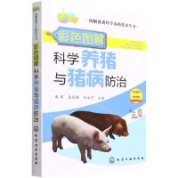 [N]彩色图解科学养猪与猪病防治/图解畜禽科学养殖技术丛书-9787122408693
