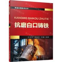 [N]抗磨白口铸铁/铸造实用技术丛书-9787111704713