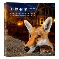 [N]万物有灵(国际野生生物摄影年赛第52届获奖作品)(精)-9787574000360