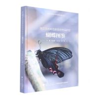 [N]浙江乌岩岭国家级自然保护区蝴蝶图鉴(精)/国家自然保护地生物多样性丛书-9787308223799