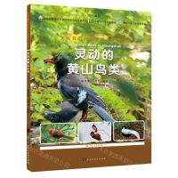 [N]灵动的黄山鸟类/大美黄山自然生态名片丛书-9787569944631
