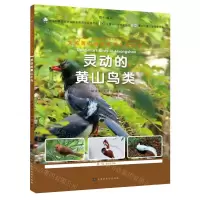[N]灵动的黄山鸟类/大美黄山自然生态名片丛书-9787569944631