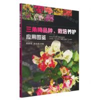 [N]三角梅品种栽培养护应用图鉴-9787109292802