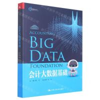 [N]会计大数据基础/智能财会丛书-9787300308234