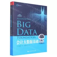 [N]会计大数据基础/智能财会丛书-9787300308234