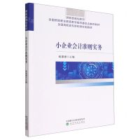 [N]小企业会计准则实务(全国高职高专院校财经类教材)-9787521838336