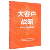 [N]大客户战略(大客户全生命周期管理)-9787521746624