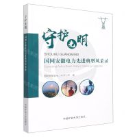 [N]守护光明(国网安徽电力先进典型风采录)-9787564652104