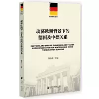 [N]动荡欧洲背景下的德国及中德关系/德国研究丛书-9787520123068