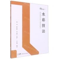 [N]水彩技法(大匠高等院校美术设计专业系列教材)-9787536275065