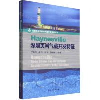[N]Haynesville深层页岩气藏开发特征/北美典型页岩油气藏开发特征丛书-9787518353972