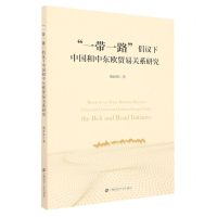 [N]一带一路倡议下中国和中东欧贸易关系研究-9787564239954