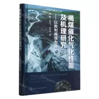 [N]褐煤催化气化性能及机理研究--以胜利褐煤为例(精)-9787122398871