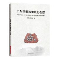 [N]广东河源恐龙蛋化石群(精)-9787547859063