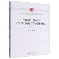 [N]双碳目标下产业发展的若干问题研究-9787509684306