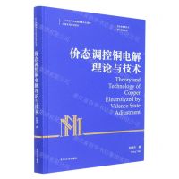 [N]价态调控铜电解理论与技术(精)/有色金属理论与技术前沿丛书-9787548750024