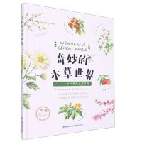 [N]奇妙的本草世界--二十四节气本草百科(精)-9787533567811