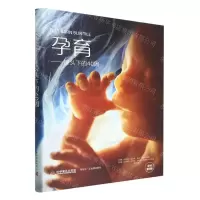 [N]孕育--镜头下的40周(原书第6版)(精)-9787110104972