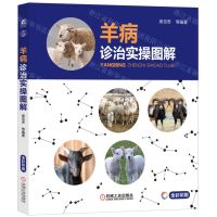 [N]羊病诊治实操图解(全彩印刷)-9787111717133