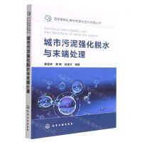 [N]城市污泥强化脱水与末端处理/固体废物处理与资源化技术进展丛书-9787122410627