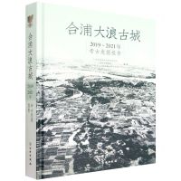 [N]合浦大浪古城(2019-2021年考古发掘报告)(精)-9787501077663