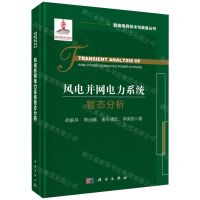 [N]风电并网电力系统暂态分析(精)/智能电网技术与装备丛书-9787030746269