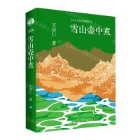 [N]雪山壶中煮/王宗仁作品自选集系列-9787225064031