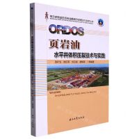 [N]页岩油水平井体积压裂技术与实践/鄂尔多斯盆地页岩油勘探开发理论与技术丛书-9787518353293