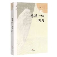 [N]愿换一江明月/光明文丛-9787541165405