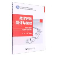 [N]数字经济测评与管理(高等院校经济管理类规划教材)-9787563568178