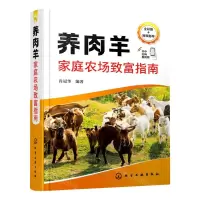 [N]养肉羊家庭农场致富指南(全彩版)-9787122419231