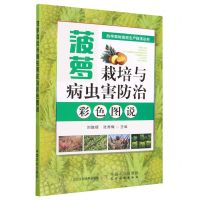 [N]菠萝栽培与病虫害防治彩色图说/热带果树高效生产技术丛书-9787109302846