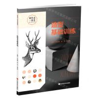 [N]造型基础训练(新形态一体化系列教材)-9787517142744