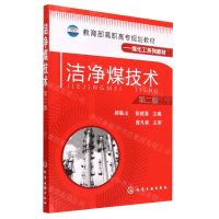 [N]洁净煤技术(第2版煤化工系列教材教育部高职高专规划教材)-9787122087980