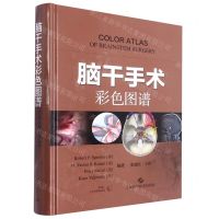 [N]脑干手术彩色图谱(精)-9787547859537
