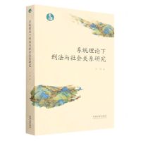 [N]系统理论下刑法与社会关系研究/青蓝文库-9787521628944