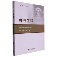 [N]井巷工程/21世纪土木工程学术前沿丛书-9787566136909