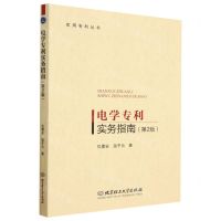 [N]电学专利实务指南(第2版)/实用专利丛书-9787576309102