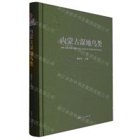 [N]内蒙古湿地鸟类(精)-9787204168538