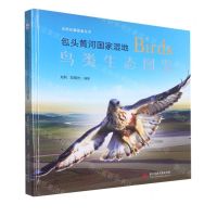[N]包头黄河国家湿地鸟类生态图鉴(精)/自然珍藏图鉴丛书-9787568089395
