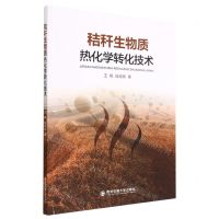 [N]秸秆生物质热化学转化技术-9787569328417