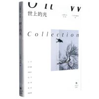 [N]世上的光/小说界文库-9787532185429