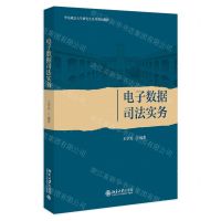 [N]电子数据司法实务(华东政法大学研究生系列规划教材)-9787301337370