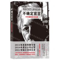 [N]不确定宣言(不可救药的戈比诺)-9787541165146