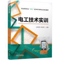 [N]电工技术实训(双色印刷职业院校校企双元合作电气类专业立体化教材)-9787111720744